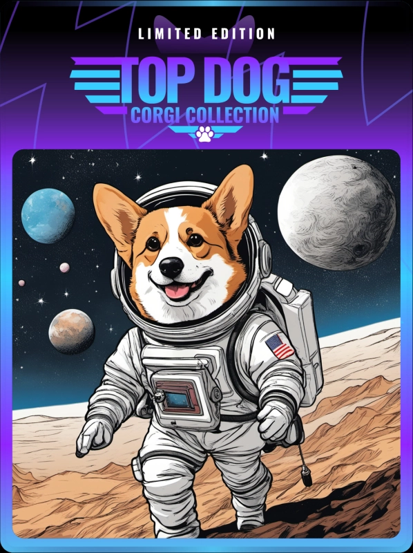 Top Dog Corgi #100