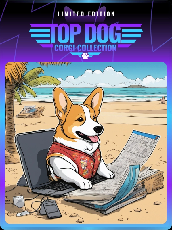 Top Dog Corgi #11