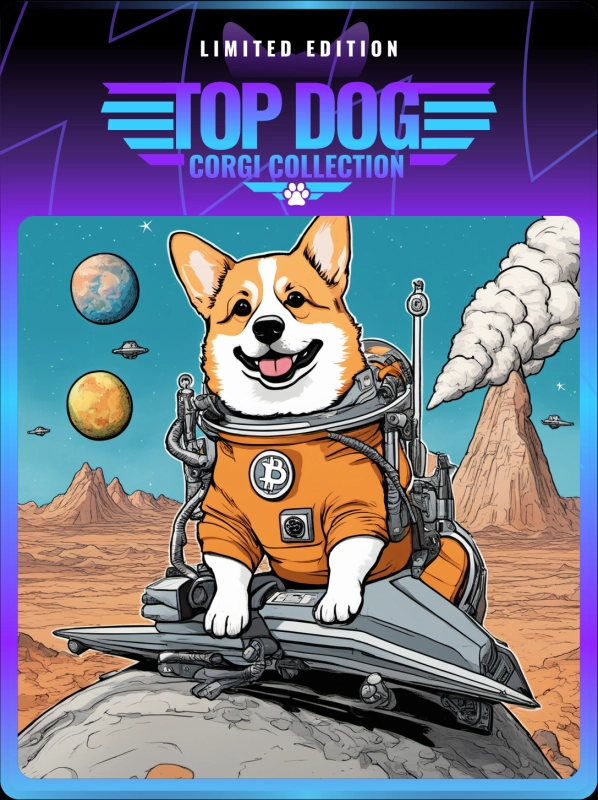 Top Dog Corgi #1153