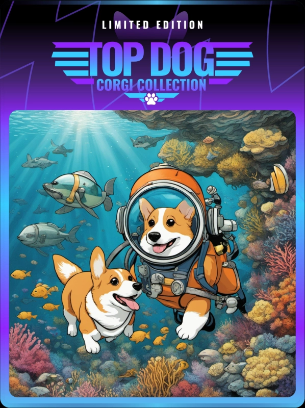 Top Dog Corgi #1195