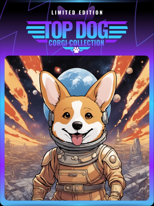 Top Dog Corgi #12