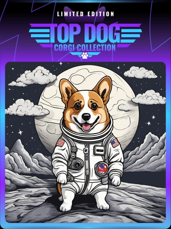 Top Dog Corgi #130