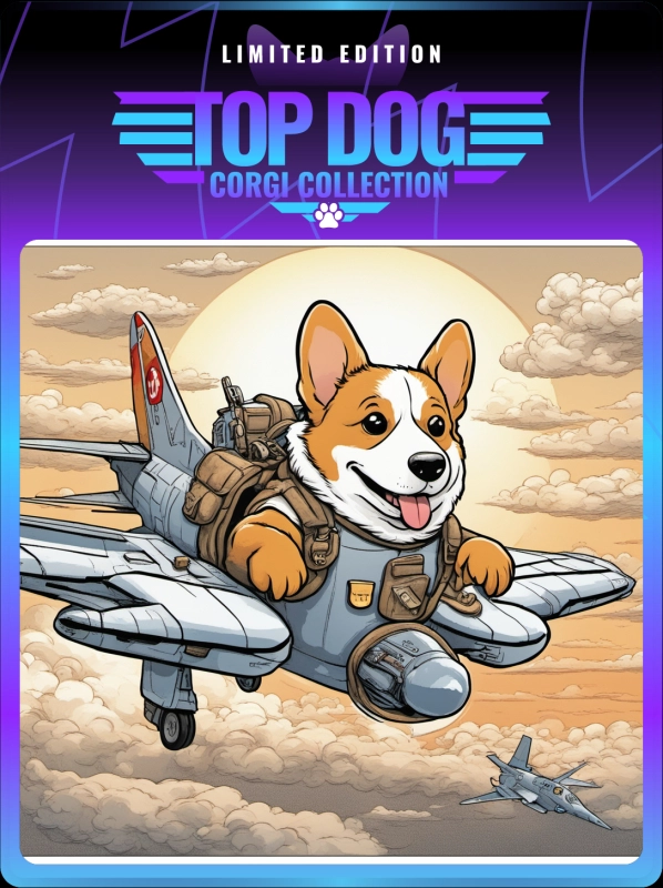 Top Dog Corgi #1353