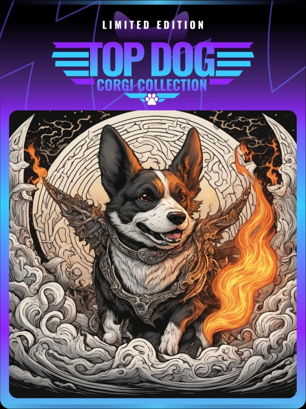 Top Dog Corgi #141