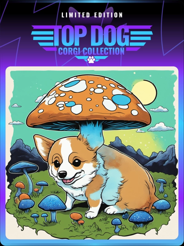 Top Dog Corgi #1418