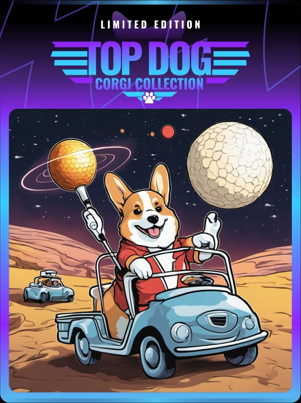 Top Dog Corgi #1427