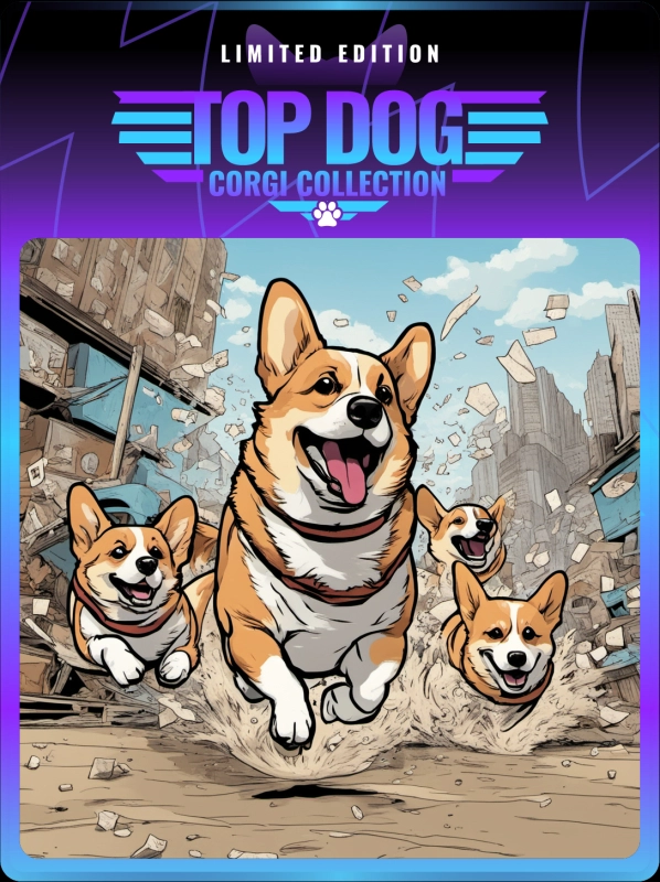 Top Dog Corgi #144