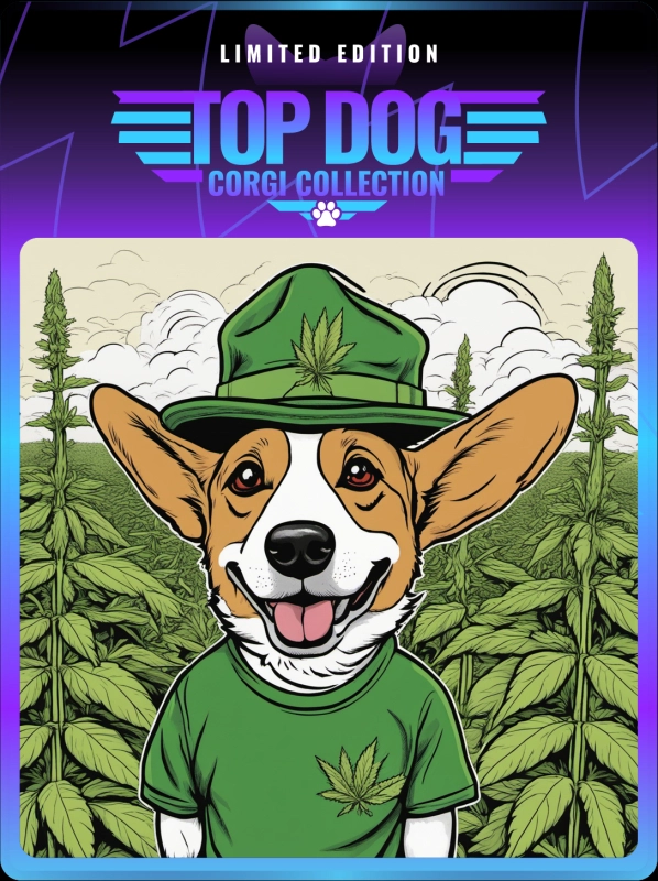 Top Dog Corgi #148
