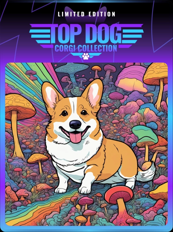 Top Dog Corgi #1514
