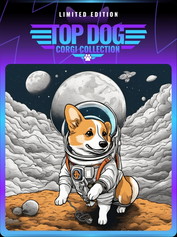 Top Dog Corgi #1516