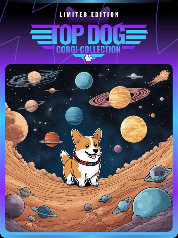 Top Dog Corgi #155