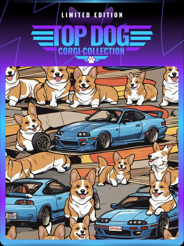 Top Dog Corgi #1577