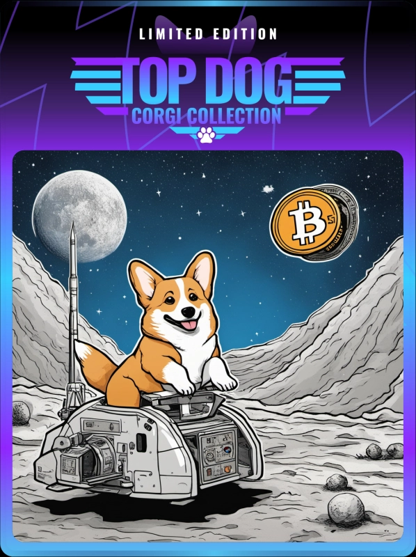 Top Dog Corgi #1598
