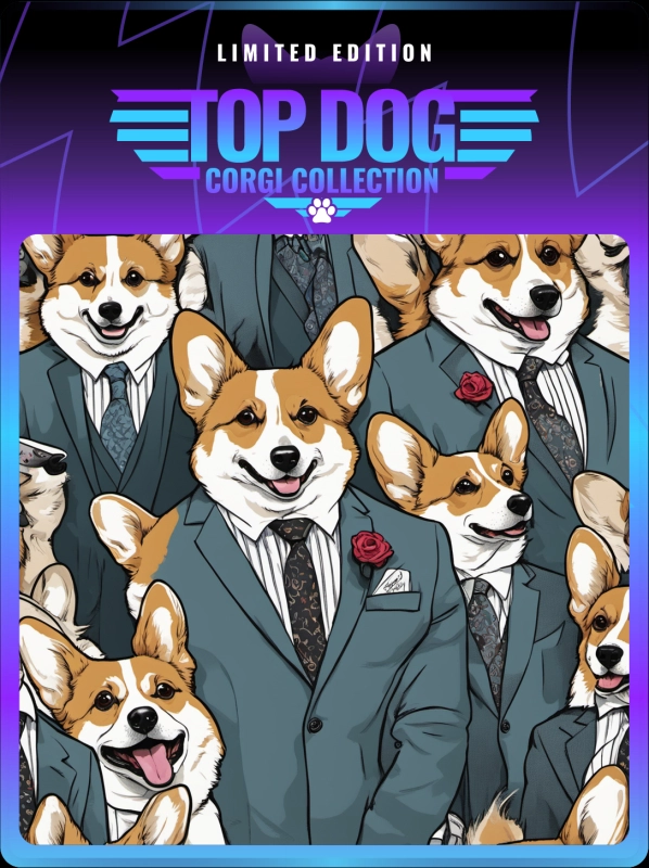 Top Dog Corgi #16