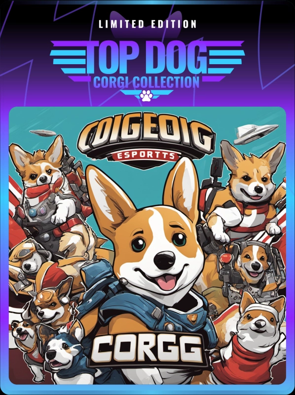 Top Dog Corgi #1611