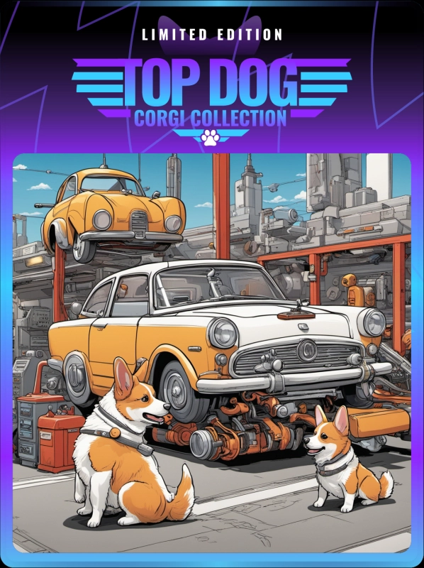 Top Dog Corgi #1664