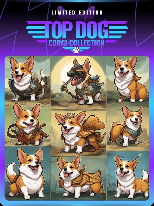 Top Dog Corgi #1777