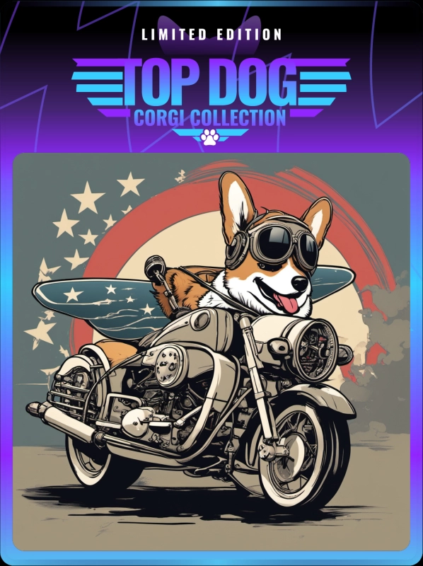 Top Dog Corgi #18