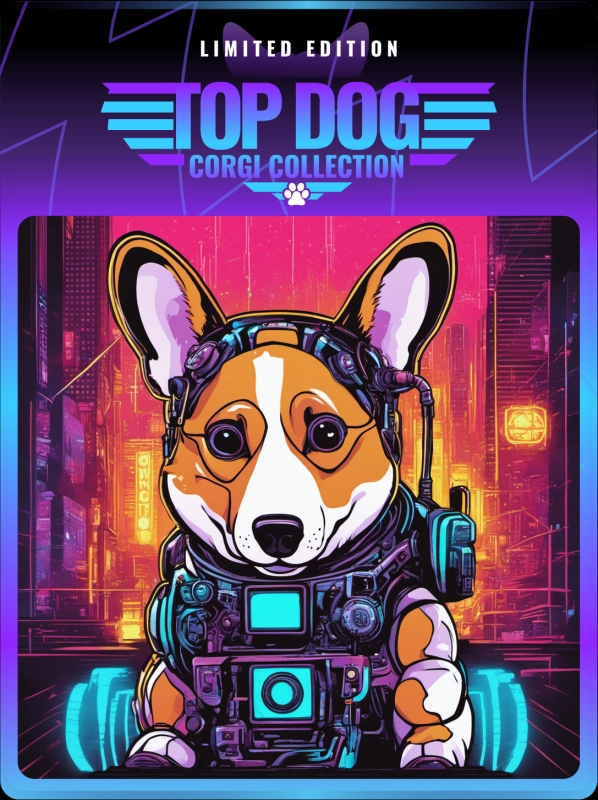 Top Dog Corgi #1803