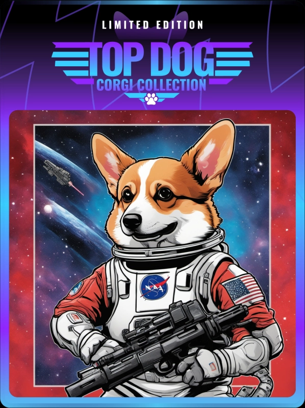 Top Dog Corgi #184