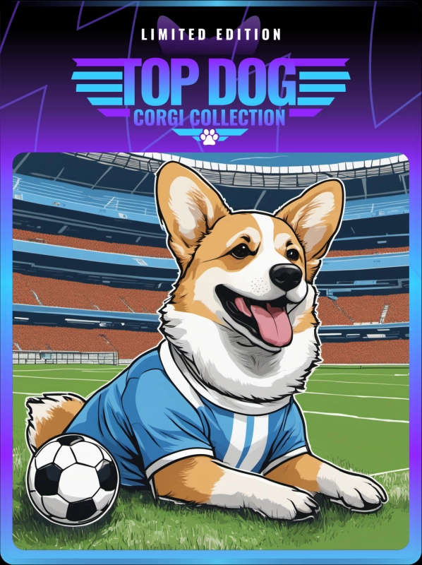 Top Dog Corgi #1846