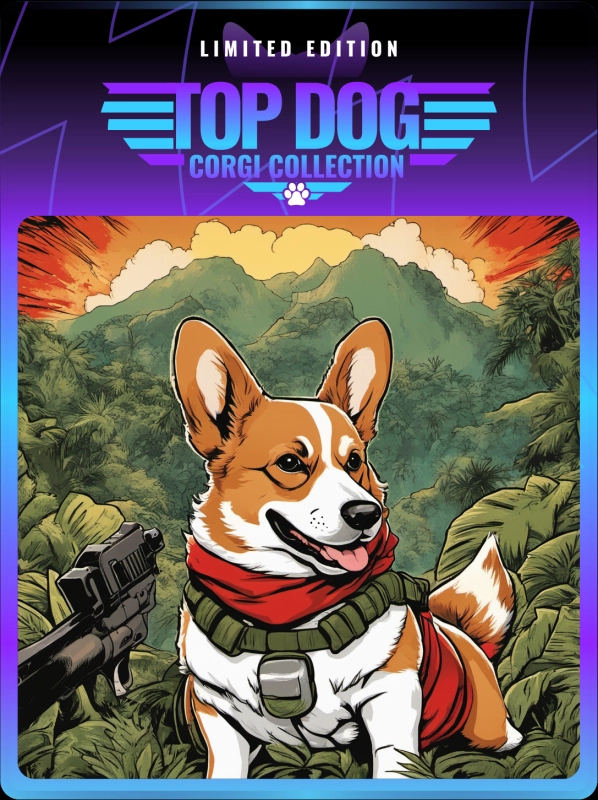 Top Dog Corgi #185