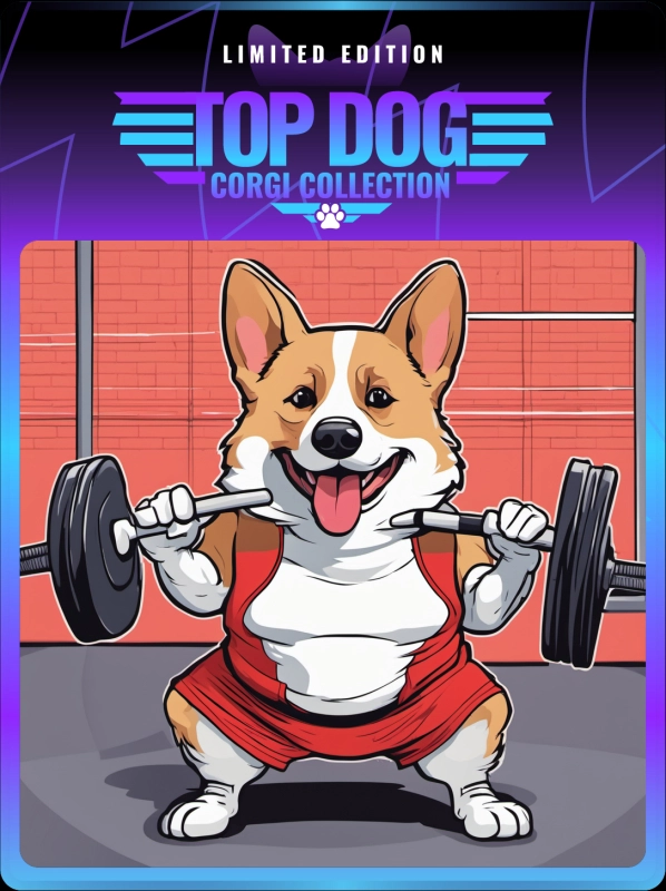 Top Dog Corgi #198