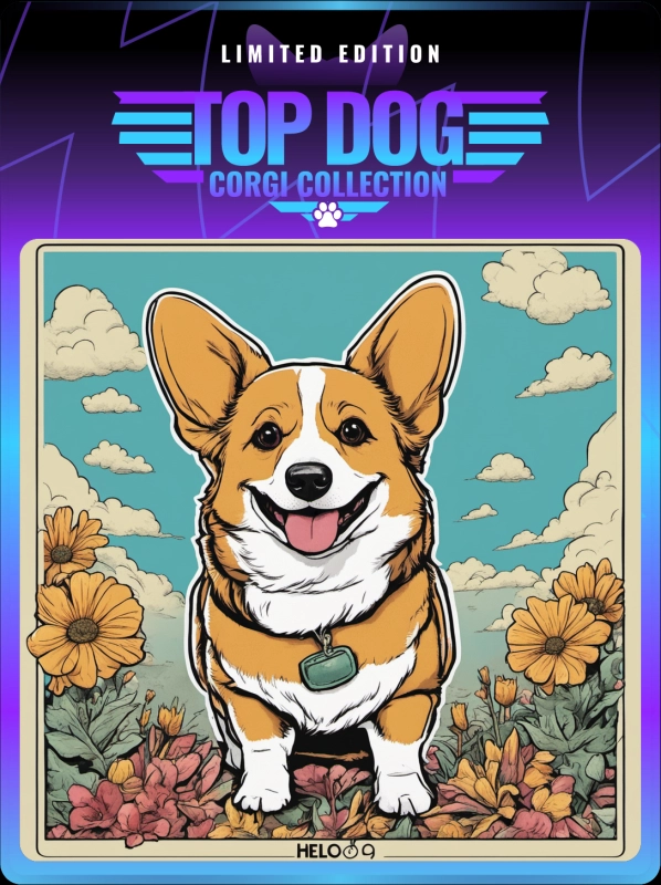 Top Dog Corgi #2