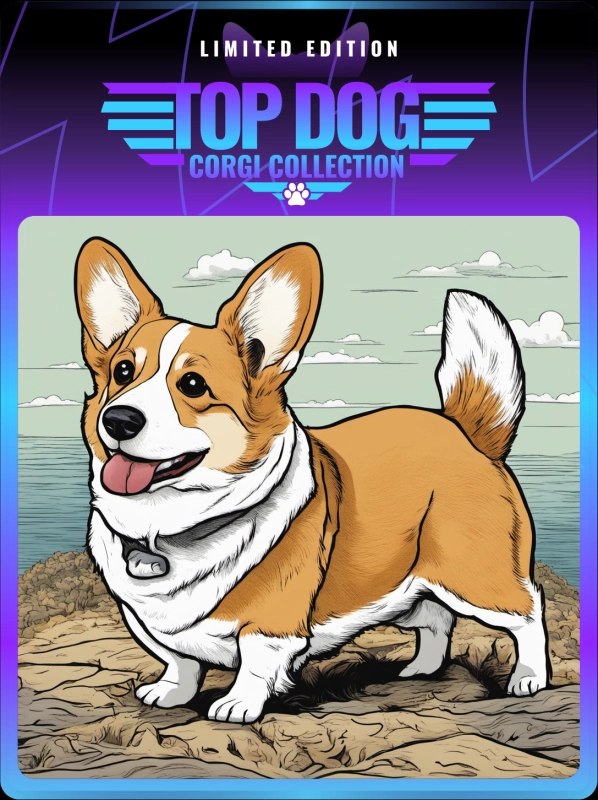 Top Dog Corgi #201