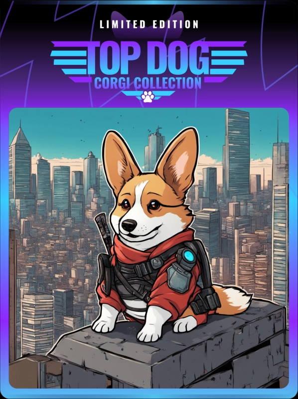 Top Dog Corgi #205