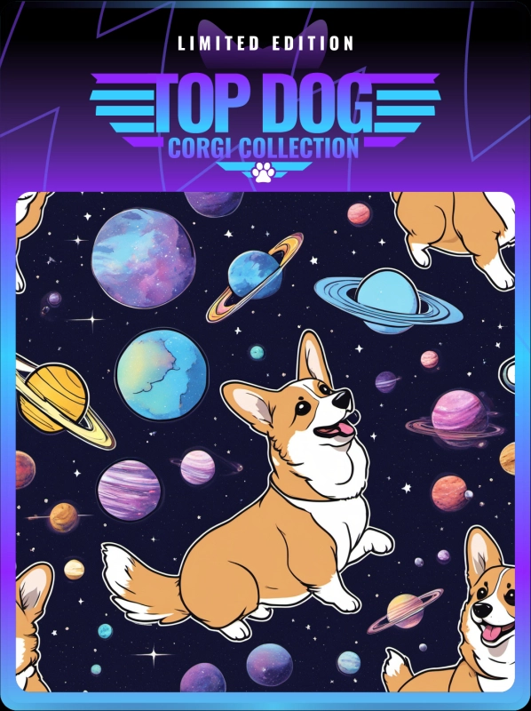 Top Dog Corgi #212