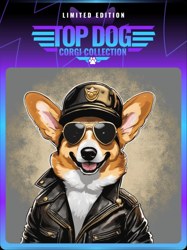 Top Dog Corgi #214