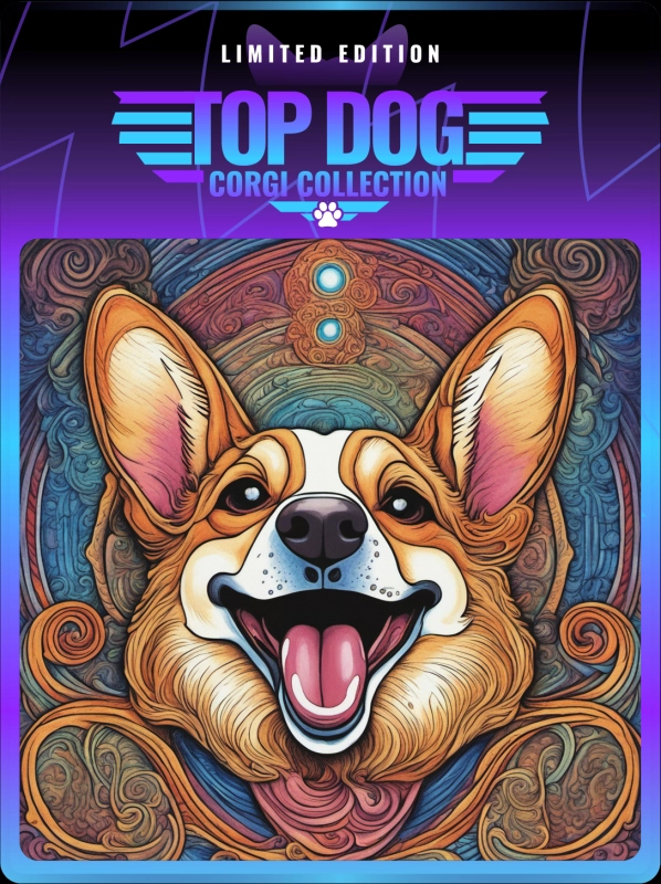 Top Dog Corgi #216