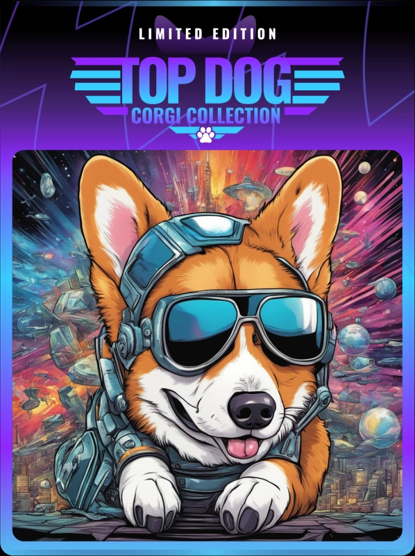 Top Dog Corgi #218