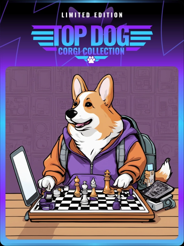 Top Dog Corgi #22