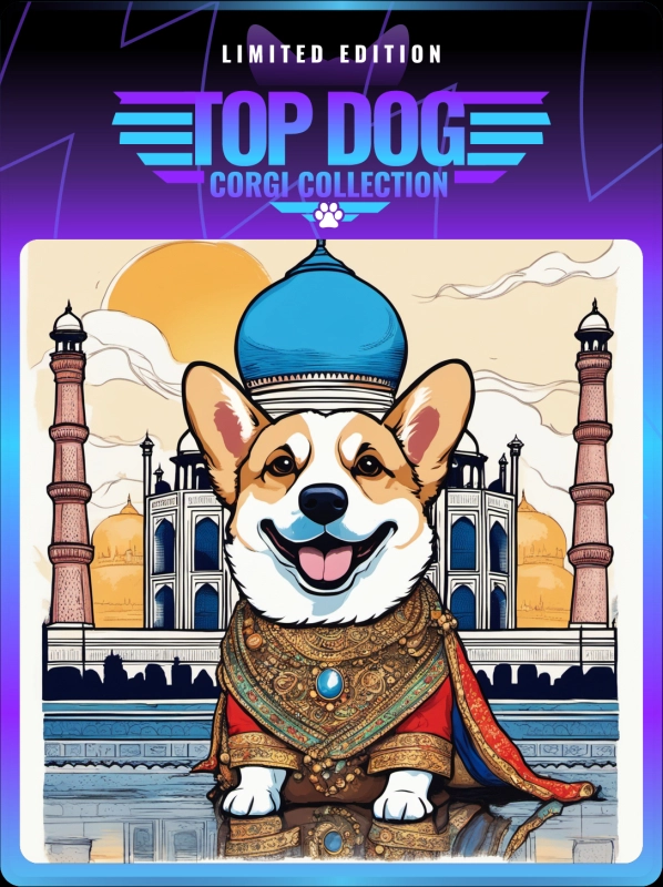 Top Dog Corgi #226