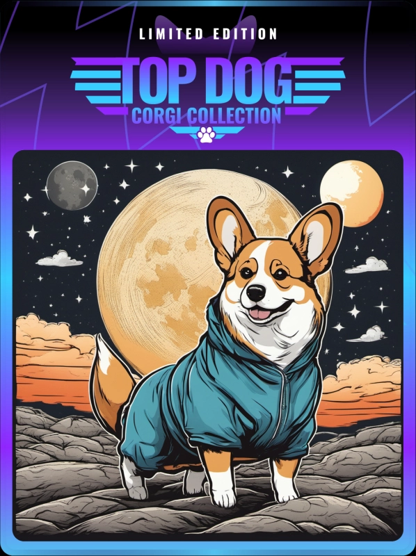 Top Dog Corgi #231
