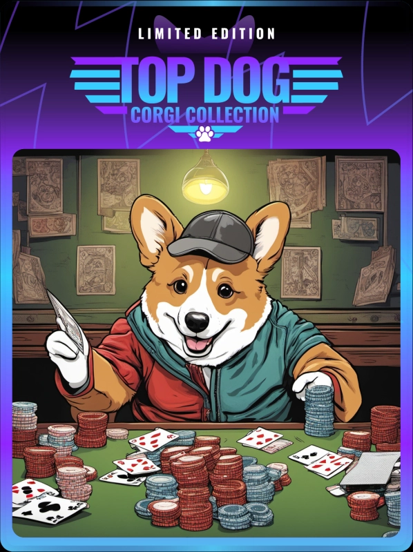Top Dog Corgi #236