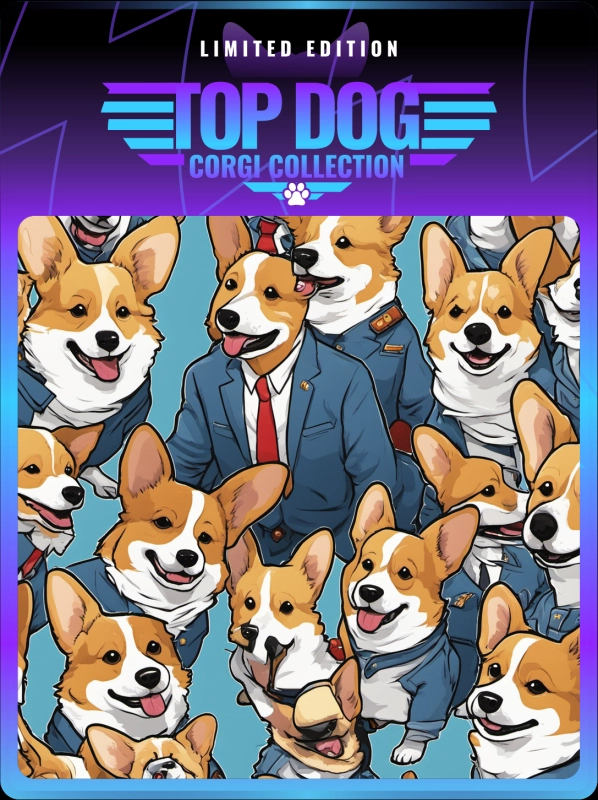Top Dog Corgi #238
