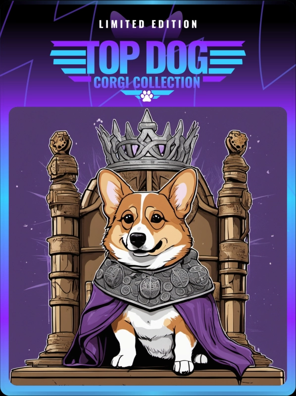 Top Dog Corgi #245