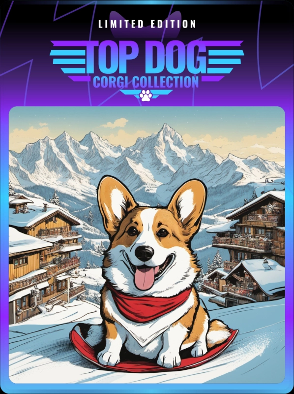 Top Dog Corgi #246