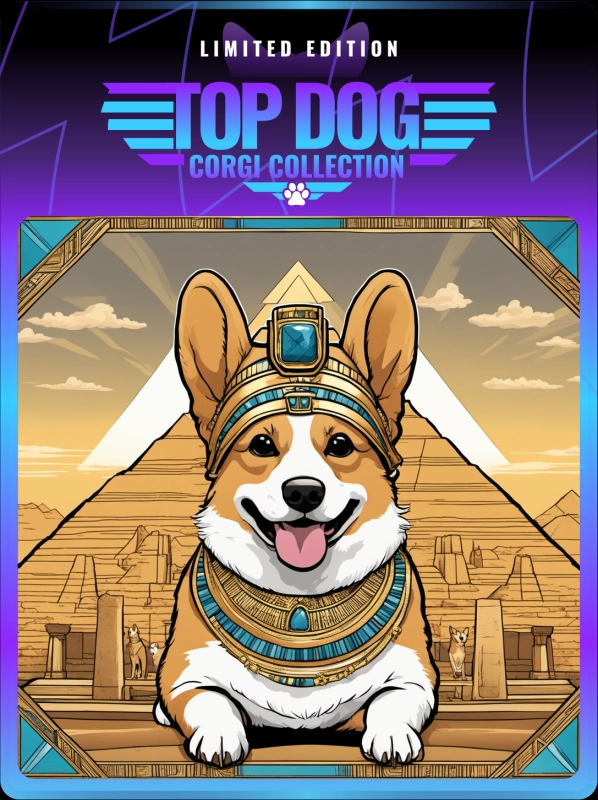 Top Dog Corgi #247