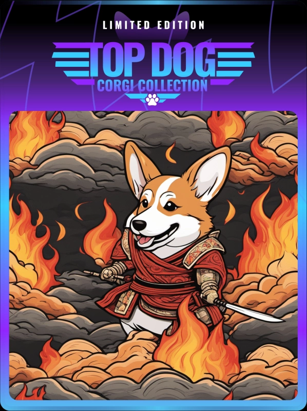 Top Dog Corgi #249