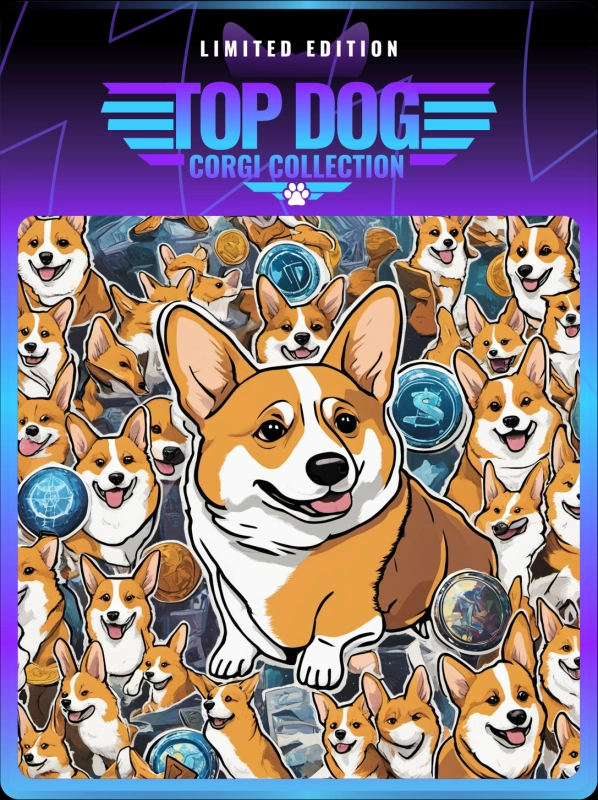 Top Dog Corgi #3
