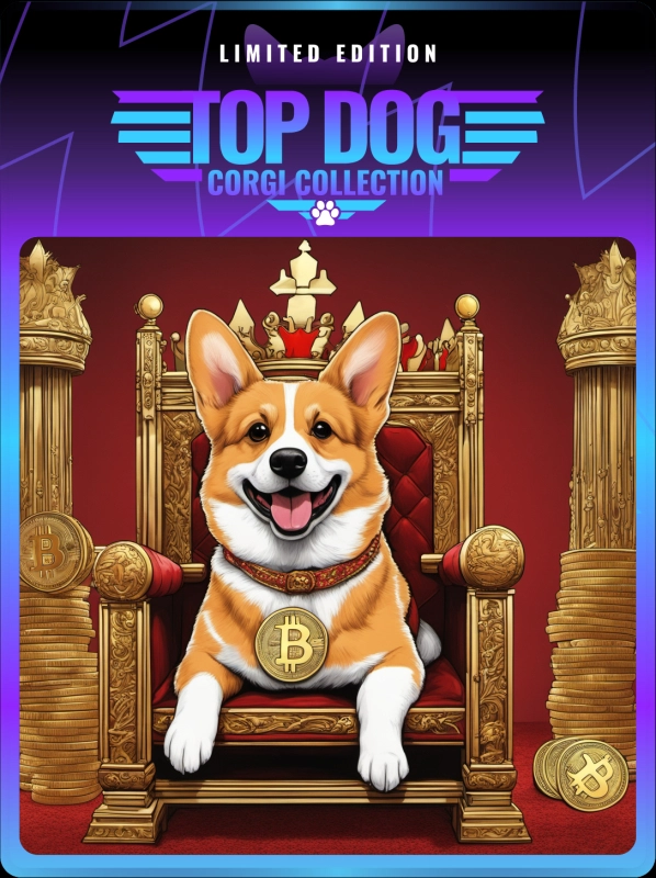 Top Dog Corgi #311