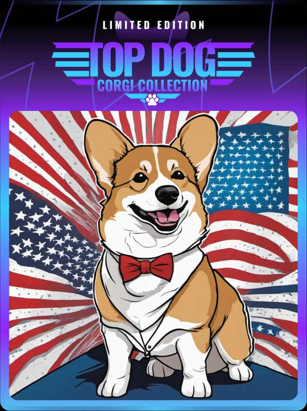 Top Dog Corgi #32