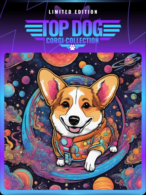 Top Dog Corgi #349