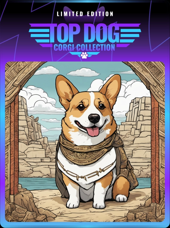 Top Dog Corgi #377