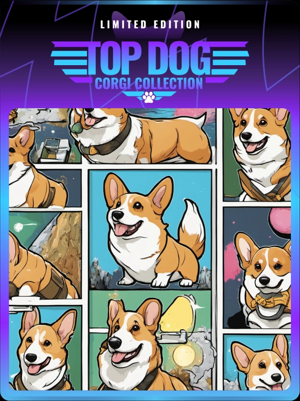 Top Dog Corgi #41