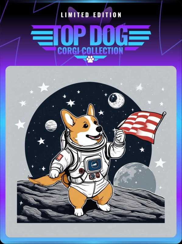 Top Dog Corgi #43